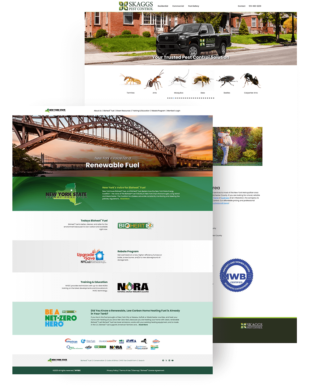 Website Examples