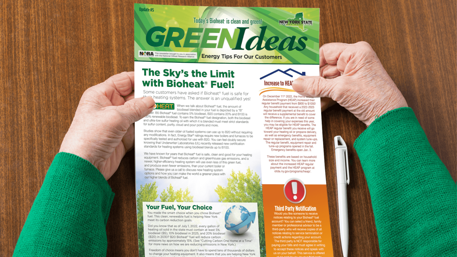 Bioheat Newsletter